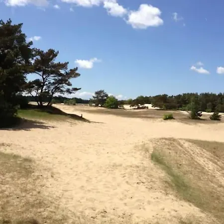 Volledig Opgeknapt Boschalet Met Airco Op De Veluwe