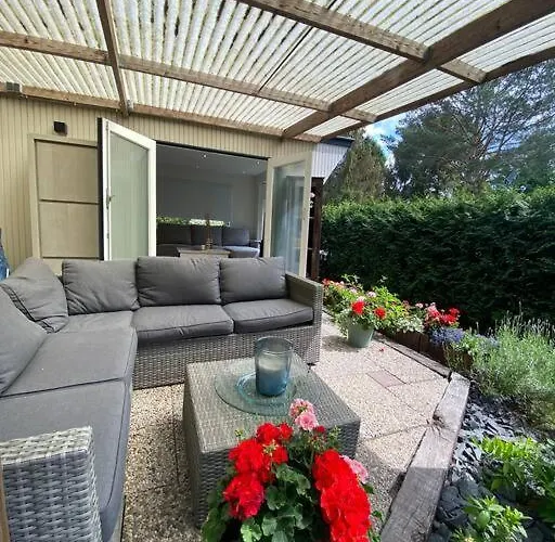 Domek alpejski Volledig Opgeknapt Boschalet Met Airco Op De Veluwe