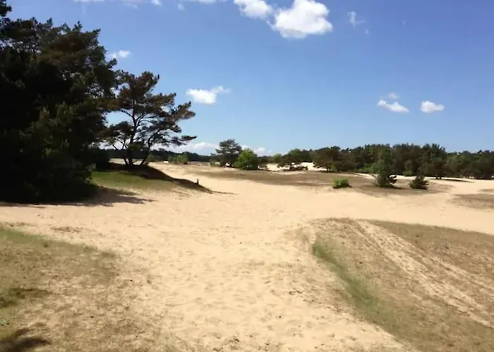 Volledig Opgeknapt Boschalet Met Airco Op De Veluwe