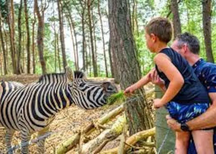 Volledig Opgeknapt Boschalet Met Airco Op De Veluwe Domek alpejski *