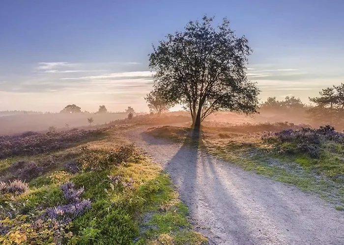 Domek alpejski Volledig Opgeknapt Boschalet Met Airco Op De Veluwe *