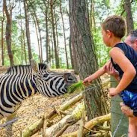 Volledig Opgeknapt Boschalet Met Airco Op De Veluwe Alpstuga *