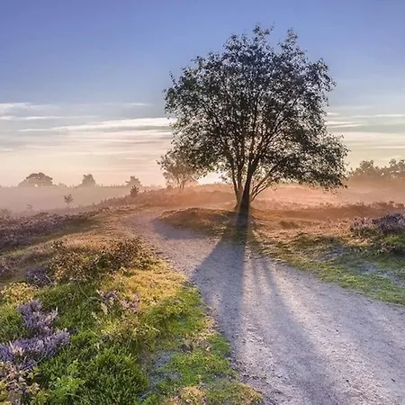 Alpstuga Volledig Opgeknapt Boschalet Met Airco Op De Veluwe *